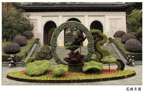 四川大型雕塑廠 大型鳳凰五色草造型廠家專(zhuān)業(yè)定制保質(zhì)保量