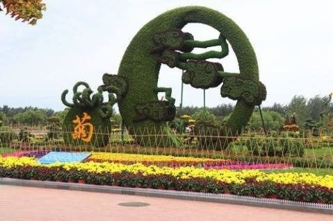 四川成都五色草雕塑廠 大象五色草綠雕造型可來圖定制各個精致