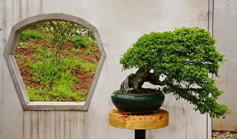 詩城人家 馬鞍山園林藝術的一顆璀璨明珠